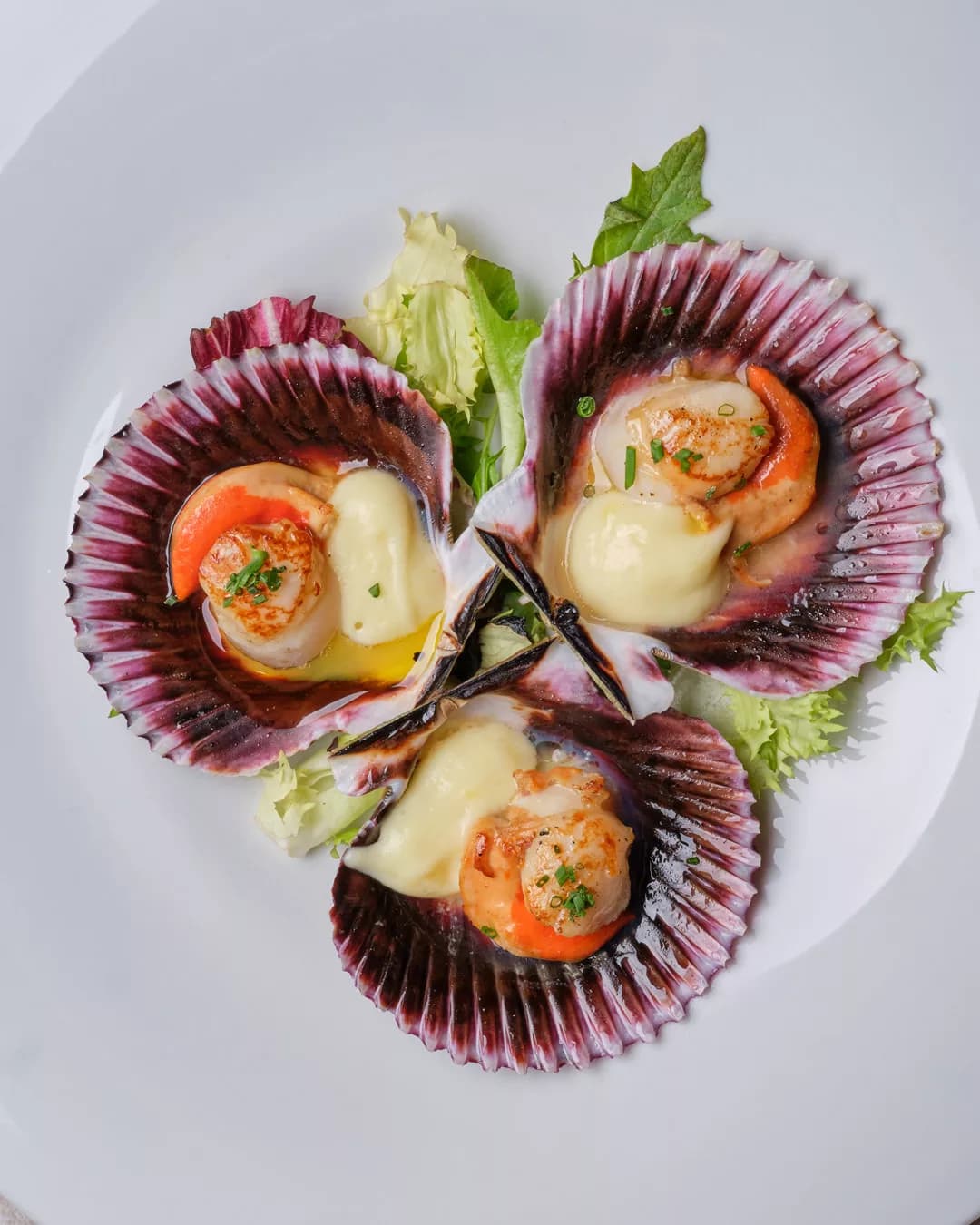 Atlantic-inspired scallops